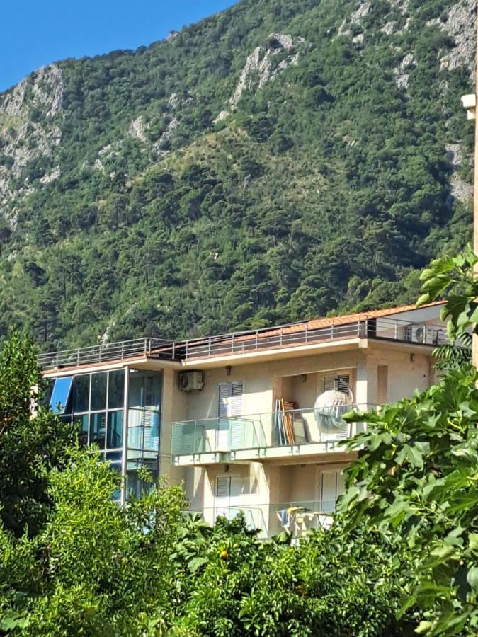Apartments With Sea View In Prcanj 科托尔 外观 照片